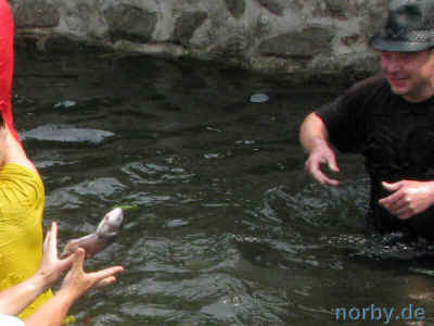 15 Bettenrennen -G2- 04 Juli 2010 - 5355.jpg (98863 Byte)