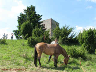 Brandenburg 05-Juni-10 4250.jpg (97407 Byte)