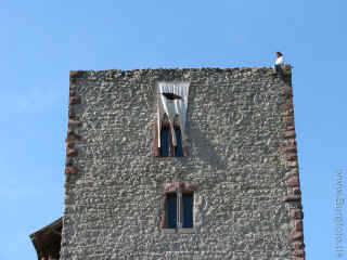 Brandenburg 05-Juni-10 4281.jpg (99620 Byte)