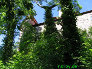 elgersburg_17-06-07-62-xl.jpg (205443 Byte)