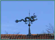 0210120.jpg (104718 Byte)