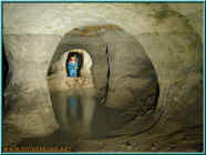 o801146.jpg (87664 Byte)