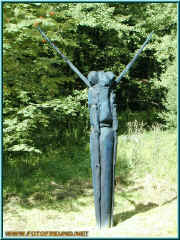 o8090299.jpg (192840 Byte)