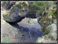 2torstein12-04-04.jpg (97320 Byte)