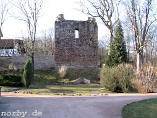 burg-winterstein_17-02-08_085.jpg (115484 Byte)